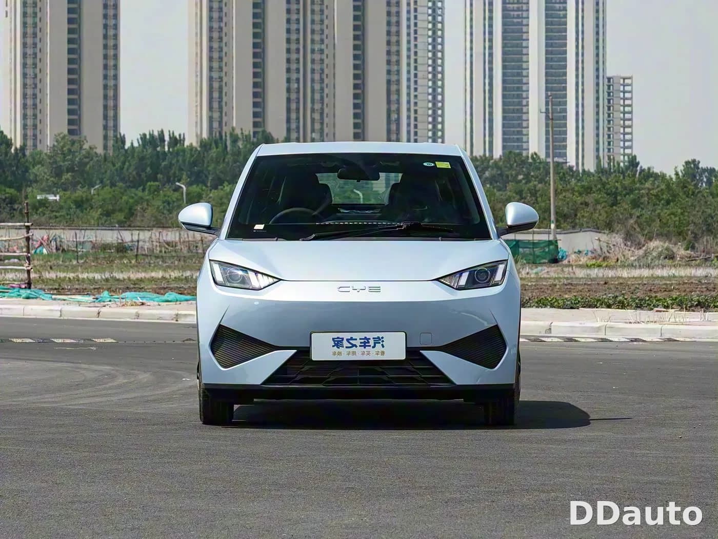 BYD SEAGULL