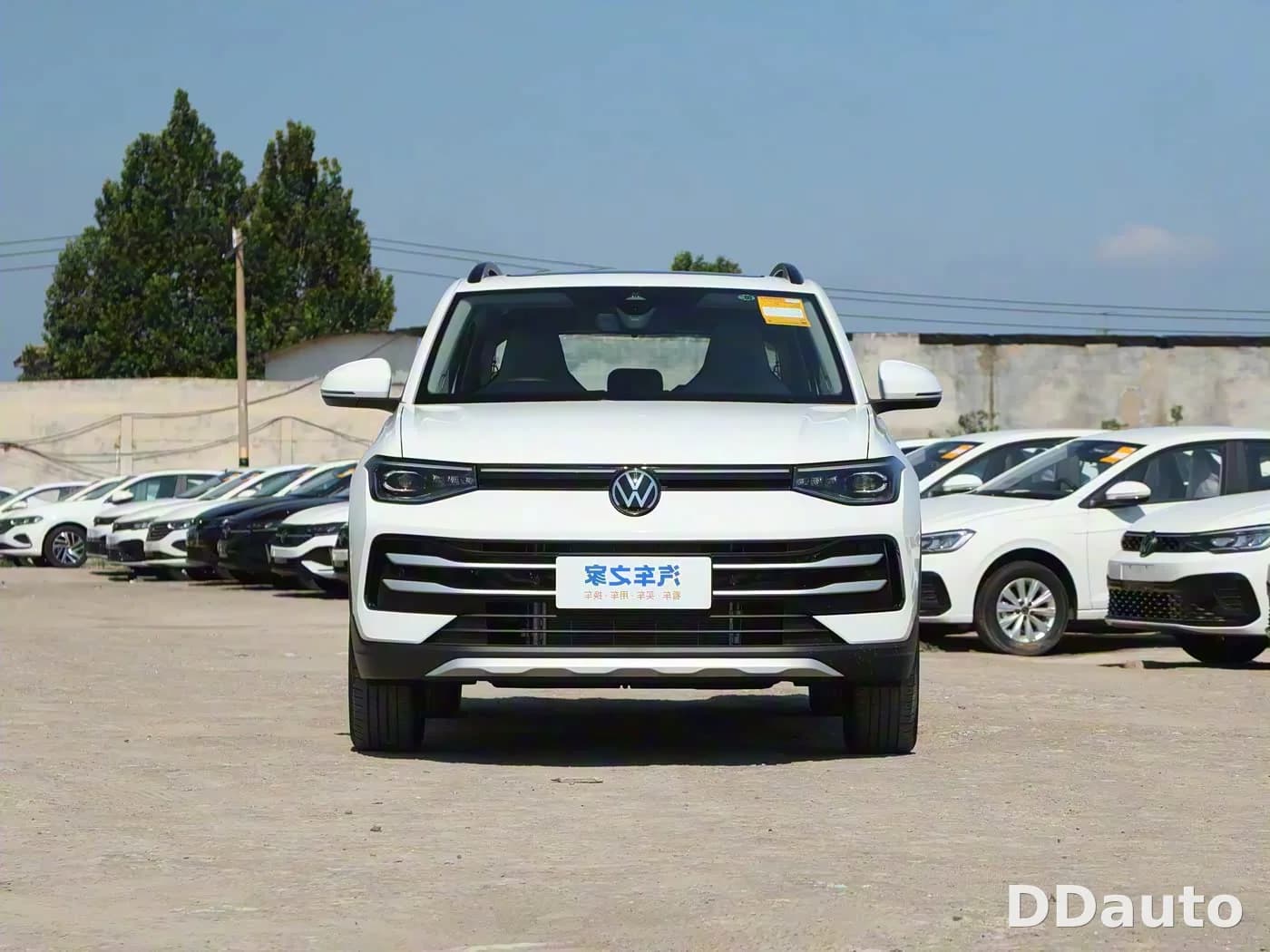 VOLKSWAGEN THARU