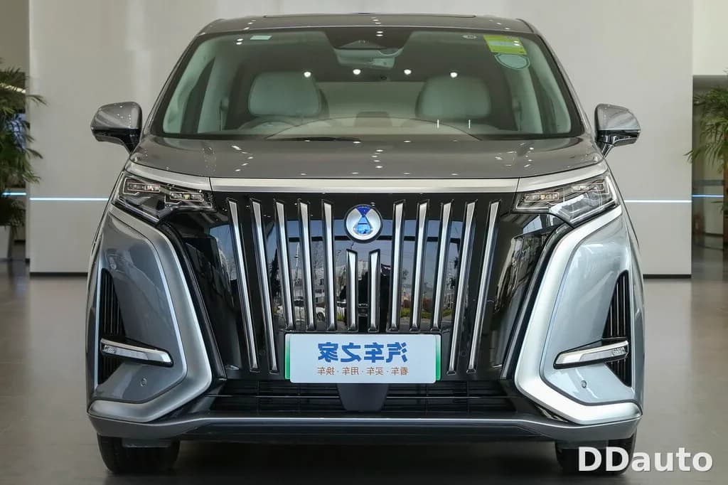 DENZA D9DMI