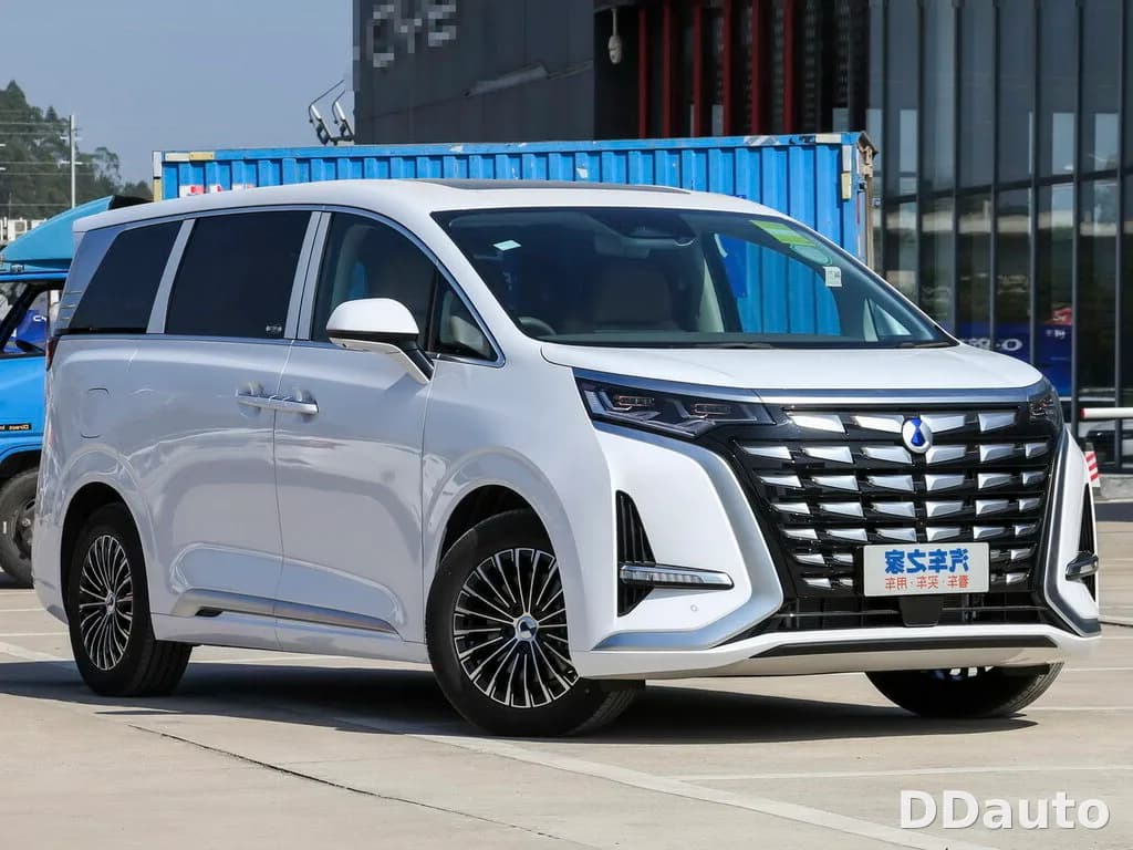 DENZA D9DMI