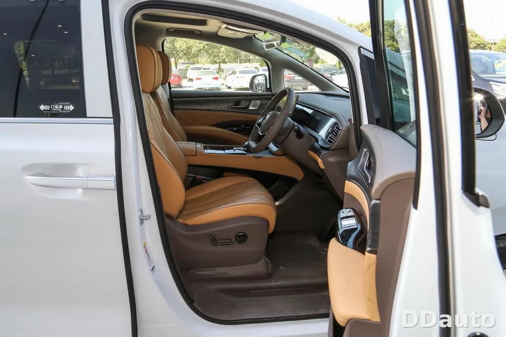 DENZA D9DMI