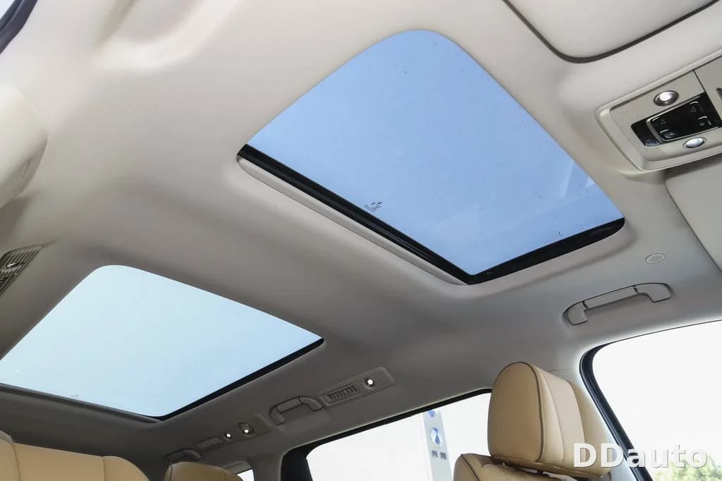 DENZA D9DMI