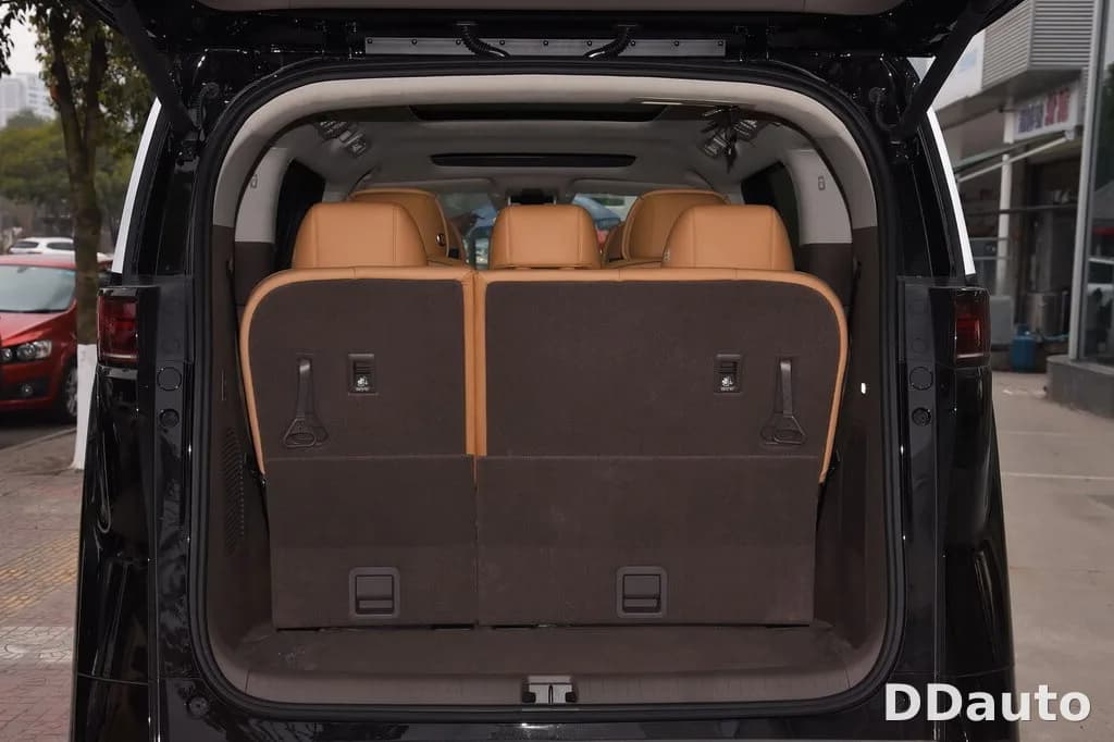 DENZA D9DMI