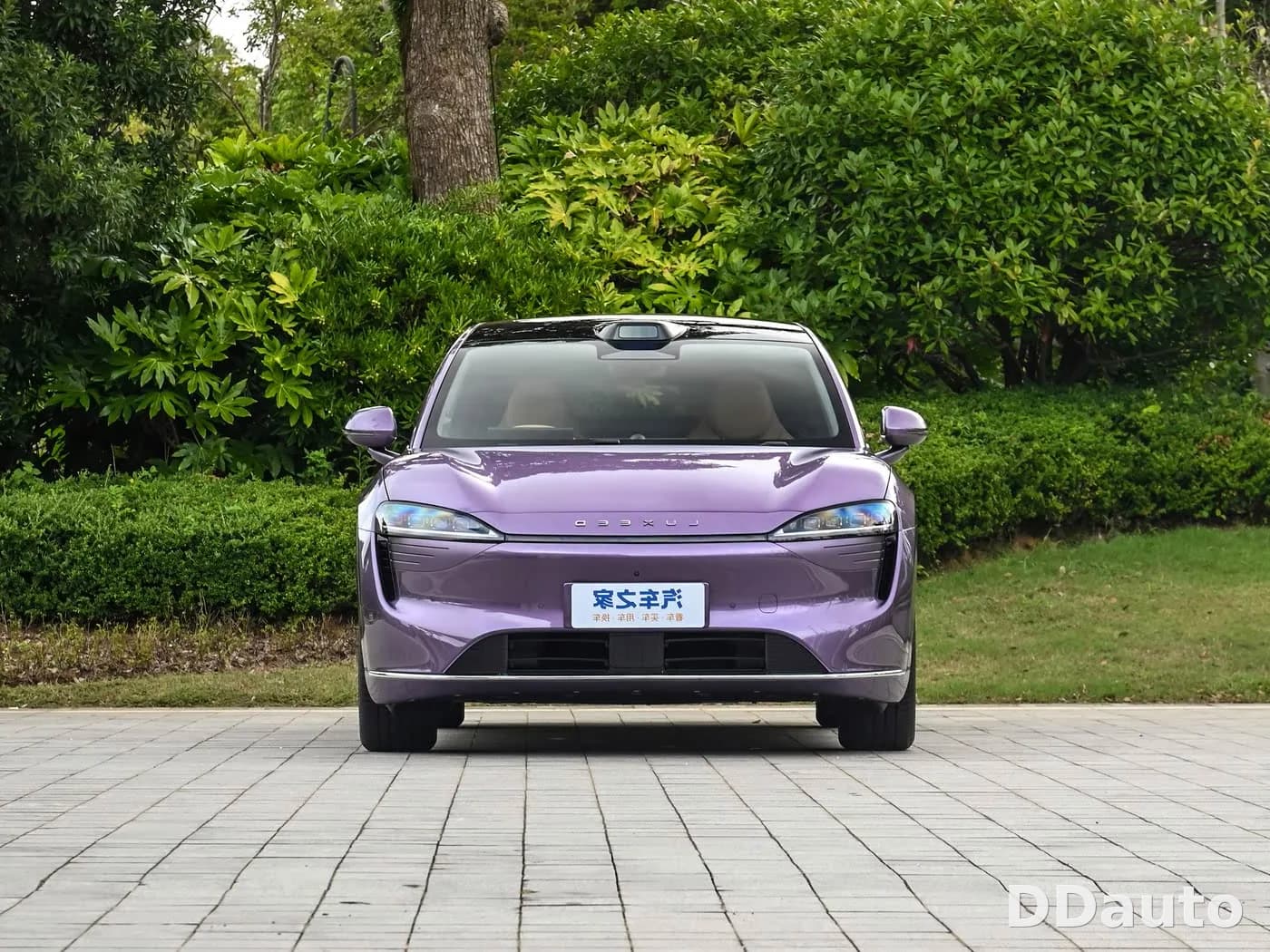 LUXEED R7